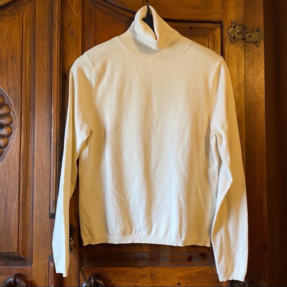 PL Valerie Stevens turtleneck sweater